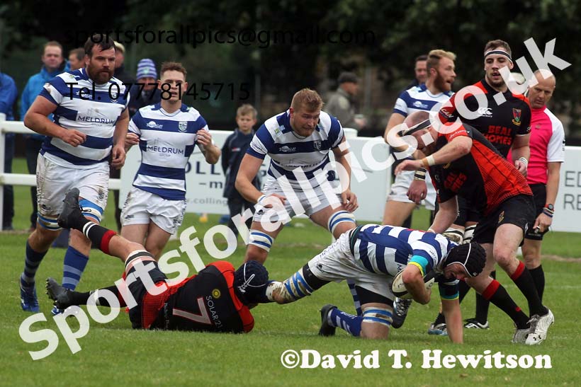 Tynedale v Hull, Tynedale Park, Corbridge, Saturday, October 2nd. Photo: David T. Hewitson/Sports for All Pics